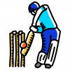 cricket-2